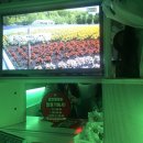 리치비투비 이미지