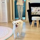 스테이모슬 이미지