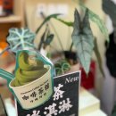 은빛어린이집 | 인천 차이나타운 카페 &#39;가배차관&#39; / 수제 밀크티와 프랑스 밤잼 ‘크렘드마롱’ 후기