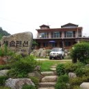 세솔팬션 이미지