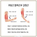 피트니스 스퀘어 네이버블로그