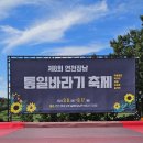 연천 호로고루성 해바라기 축제 이미지