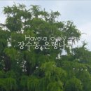 대공원의류 이미지