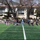 생림초등학교 이미지