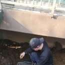 잘되다