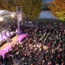 은행나무길(문화재단앞) 이미지