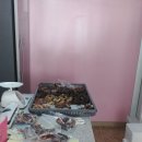 덕비네 수제간식 이미지