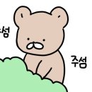 맑을청