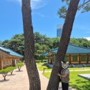 꽃향기속으로 - 강남구 도곡로 401 | 강원도 양양 - 속초 여행 코스 추천 part.1 (낙산사 - 메밀꽃향기)