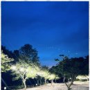 마이산 가자캠핑장 이미지