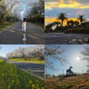 삼진주유소 | 제주도 렌트카 가격비교 제주 렌트카 추천 플랫폼 정보