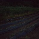 여명모텔 이미지