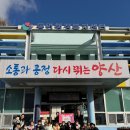 아이린어린이집 이미지