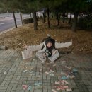 똑똑한 실전 부동산 재테크 | 💸부동산 투자 공부 : 소액 투자로 월세 파이프라인 만들기 (재테크책 후기)