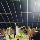 고성 탑 글램핑 농원 이미지