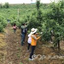 진안읍사무소 이미지