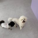 뽀대미용실