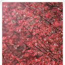 탐라대학교 이미지