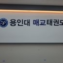 용인대 매교태권도장 | 아이들의 자신감과 체력을 키워주는 특별한 공간! &#34;용인대매교태권도장&#34; 후기