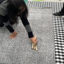 먹적골경로당 이미지