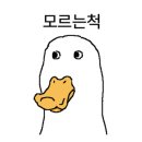 노벨로(NOVELLO) 이미지