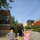 엘캠퍼스 | UCLA 캠퍼스 투어 후기, 꼭 봐야 할 곳 총정리 (LA 대학 탐방)