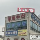 영일 | 순천회포장맛집 영일수산 모듬회후기 내돈내산