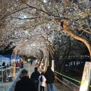 양평-용문-용문-8 이미지