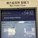 엄브로속초