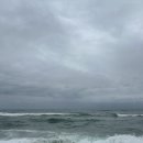 네코스테이 고양이마을 이미지