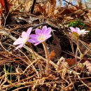 산동면사무소 이미지