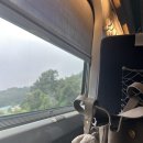 소식통식당 | 서울 동대문 가볼만한 곳 | 맛집 콘드에빼빼, 알로소 소파다방, ddp 장바스키아 전시