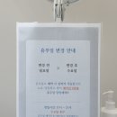 레푸스구미산동점