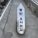 몽탄 | [내돈내산맛집리얼후기] 제주 몽탄