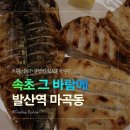 속초농협조양지점 | 마곡역맛집 발산생선구이 회식장소 속초그바람에 마곡점