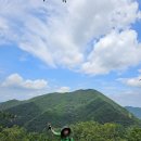 대전둘레산길(8구간) 이미지