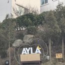 펜션아일라 | [안면도 숙박]키즈펜션으로 투명동체험 바베큐가 가능한 아일라리조트