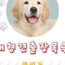 클린독 이미지