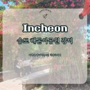 6월여행지 추천 송도여행 송도해돋이공원 장미원 방문후기