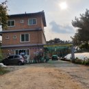 꽃송이버섯샤브만두 이미지