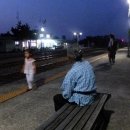 경주통닭 이미지