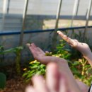 순천곤충박물관 이미지