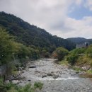 마곡사힐링캠프 이미지