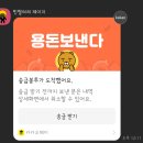 제17회 청도유등제 | [공지] 제17회 청도 반시 전국 마라톤 대회 후기