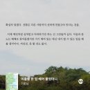 여름을 한 입 베어 물었더니 소설 후기 (소설 입문작 ㅊㅊ) 이미지