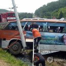 삼동면 전도3 이미지