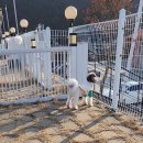 이쁘개즐겁개 이미지