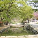 호인목장 이미지