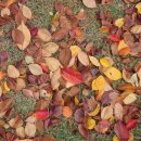 대흥기물 이미지