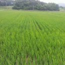 원두골농장 이미지